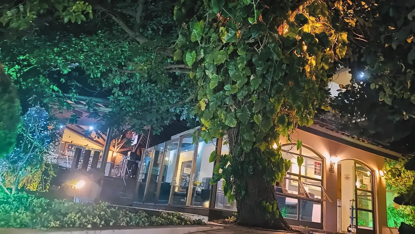 A entrada do hotel à noite: um abacateiro grande, coberto de folhas, na frente do lounge de vidro iluminado