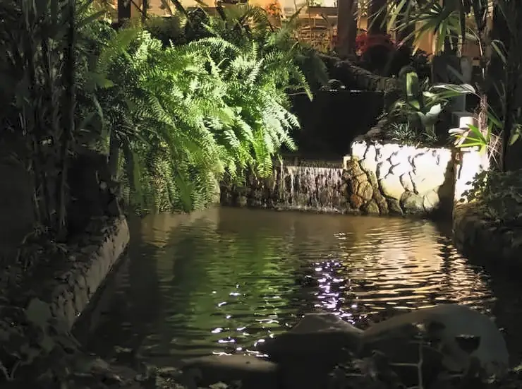 O jardim à noite: a pequena cascata caindo no lago, entre samambaias iluminadas